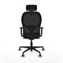 Piqueras y Crespo 1D036G2 Chaise de Bureau Noir et Brun foncé