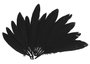 Innspiro Lot de 60 plumes indiennes noires naturelles