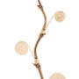Branche Crème Bambou Rotin 5 x 0,5 x 190 cm