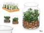 Ibergarden Pot en verre pour plante assorti 12 x 16 x 12 cm (Set de 12)