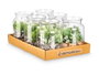 Ibergarden Pot en verre pour plante assorti 12 x 16 x 12 cm (Set de 12)