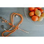 Collier pour Chien Hunter Malia Orange M/L 45-54 cm