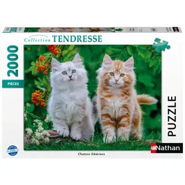 Nathan 12001868 - Puzzle 2000 pièces, Chatons Sibériens - À partir de 14 ans - Collection Tendresse - Qualité supérieure