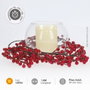 GSC Evolution Guirlande LED de baies rouges 1,8 m lumière chaude