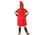 Déguisement Légionnaire Romain Enfant Soldat Taille 5-6 Ans - Costume Historique Complet avec Casque, Tunique et Capes