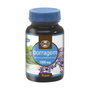 Naturmil Bourrache 1000mg 30 perles