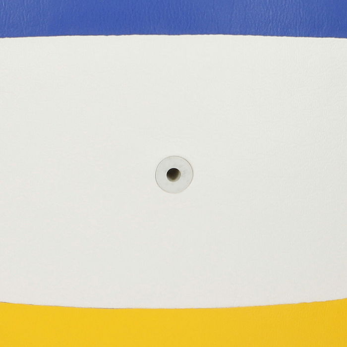 Ballon de Volleyball Aktive