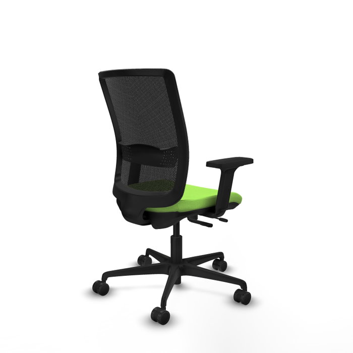 PIQUERAS Y CRESPO Chaise Haches Synchrone/Traslack Vert pistache et Noir