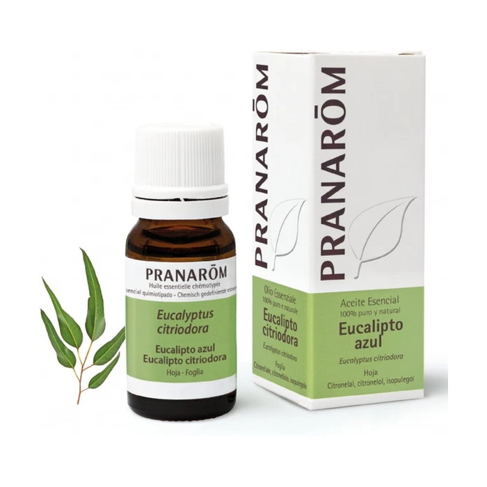 Pranarom Huile Essentielle Eucalyptus Bleu 10 ml Pranarom Huile Essentielle Eucalyptus Bleu 10 ml
