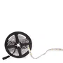 Bande LED SMD5050 Blanco Frío 6000K 60W 24VDC 5m