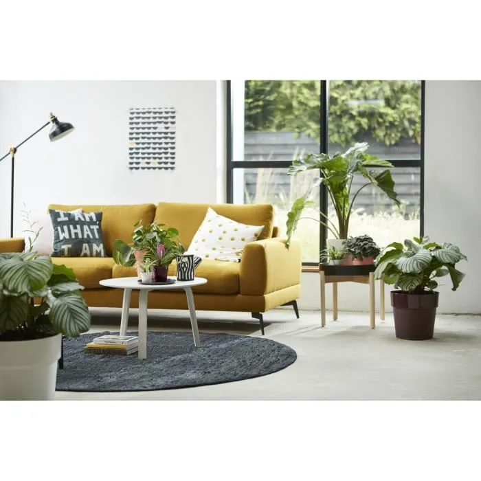 ELHO Pot de fleurs B.FOR ORIGINAL rond 25, couleur ocre - Capacité 7.9L, diamètre 25 cm, hauteur 23 cm - Résistant en polypropylène pour plantes d'intérieur ELHO Pot de fleurs B.FOR ORIGINAL rond 25, couleur ocre - Capacité 7.9L, diamètre 25 cm, hauteur 23 cm - Résistant en polypropylène pour plantes d'intérieur