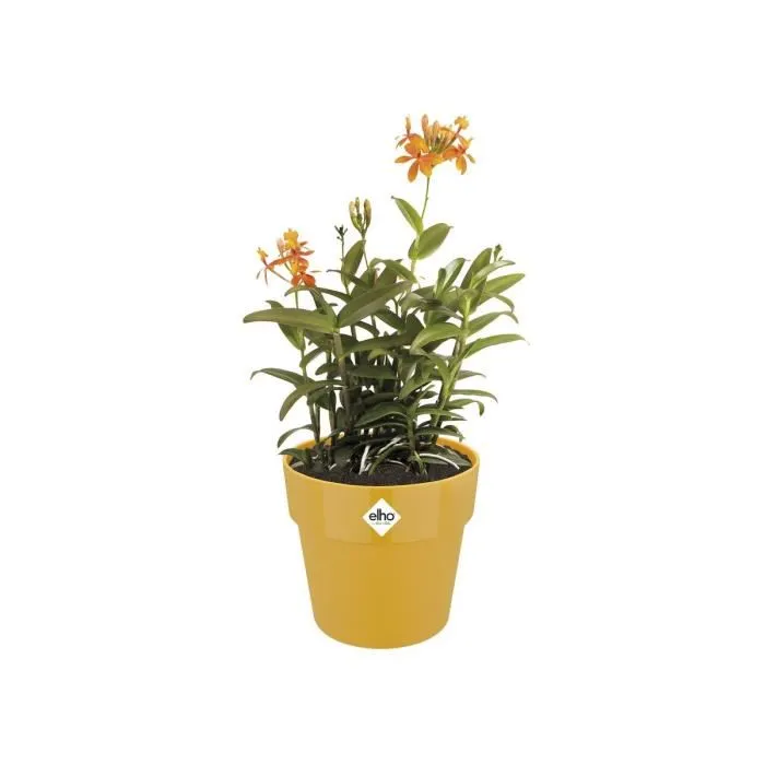 ELHO Pot de fleurs B.FOR ORIGINAL rond 25, couleur ocre - Capacité 7.9L, diamètre 25 cm, hauteur 23 cm - Résistant en polypropylène pour plantes d'intérieur ELHO Pot de fleurs B.FOR ORIGINAL rond 25, couleur ocre - Capacité 7.9L, diamètre 25 cm, hauteur 23 cm - Résistant en polypropylène pour plantes d'intérieur