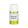 EQUISALUD HOLOFUNGI Coprinus 50 capsules