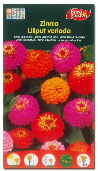 SEMILLAS FITO FLORES ZINNIA LILIPUT VARIADA=00608 (Caja de 10) SEMILLAS FITO FLORES ZINNIA LILIPUT VARIADA=00608 (Caja de 10)