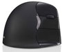 Evoluent VerticalMouse 4 Right Mac