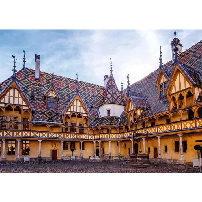 Nathan Jeux - Puzzle 1000 pièces - Collection Les - Images inédites pour passionnés de puzzles