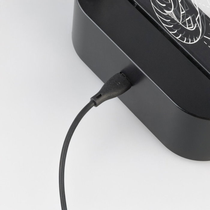 ERIK Lampe LED Harry Potter - Rétroéclairage ambiant avec alimentation USB-C et piles AAA - Fabrication ABS et acrylique - Dimensions 16x21,5x5,5 cm ERIK Lampe LED Harry Potter - Rétroéclairage ambiant avec alimentation USB-C et piles AAA - Fabrication ABS et acrylique - Dimensions 16x21,5x5,5 cm