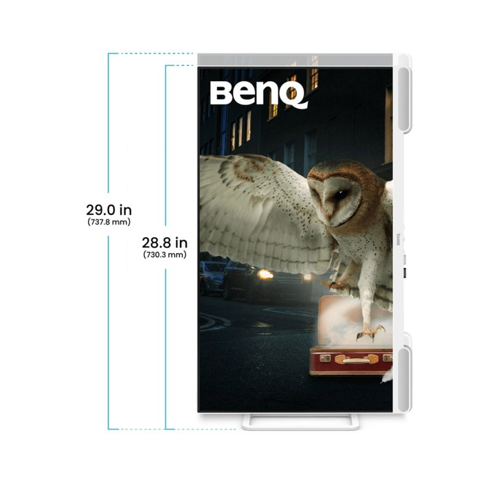 BenQ EW3290U Écran LCD 32 pouces 4K Ultra HD avec haut-parleurs 5 W