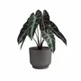 Artevasi Pot de fleur Miami Wavy 30 cm - 13 L - Anthracite - Dimensions 29.7 x 29.7 x 25.1 cm - Pot de plante contemporain