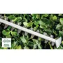 Bosch Advanced Hedge Cut 36V-65-28 NU - Taille-haie sans fil 36 V avec batterie - Outil de jardin puissant et sans enchevêtrement