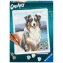 Ravensburger 12023114 - CreArt - Peinture par numéros Adulte - Berger Australien - 24x30 cm - Loisir créatif