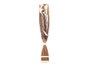 Giftdecor Ramillete Cuadrado Marron en Matière Végétale Séchée 14x100x10 cm (Set de 4)