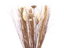 Giftdecor Ramillete Cuadrado Marron en Matière Végétale Séchée 14x100x10 cm (Set de 4)