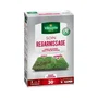 Vilmorin Semences de gazon 2 en 1 - Soins et regarnissage universel - 500 g - Pureté et germination supérieures