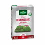 Vilmorin Semences pour soins et regarnissage universel de gazon 2 en 1 - 500 g