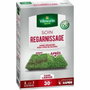 Vilmorin Semences pour soins et regarnissage universel de gazon 2 en 1 - 500 g