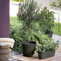 Deroma Pot de fleurs Origin Anthracite 11 L