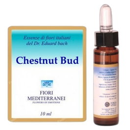 FORZA VITALE FM Chestnut Bud (Brote de Castaño) 10 ml