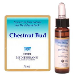 FORZA VITALE FM Chestnut Bud (Brote de Castaño) 10 ml