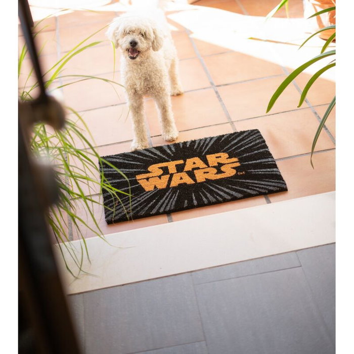 ERIK Tapis de sol Star Wars 40x60 cm avec base PVC antidérapant