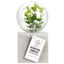 Home Deco Factory Lampe LED avec Plante Artificielle