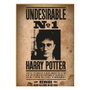 SD TOYS Puzzle Harry Potter Indésirable 1000 pièces