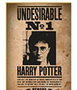 SD TOYS Puzzle Harry Potter Indésirable 1000 pièces