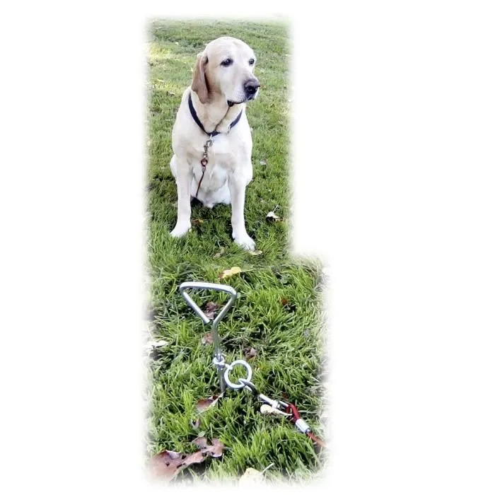 Kerbl Laisse d'attache pour chien avec ancrage spirale - Règlable, ajustable, confortable et solide
