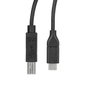 Startechcom Câble USB-C vers USB-B pour Imprimante, 50 cm, Adaptateur USB Type C vers USB B, Compatible Thunderbolt 3, Connectique USB 2.0