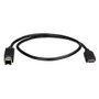 Startechcom Câble USB-C vers USB-B pour Imprimante, 50 cm, Adaptateur USB Type C vers USB B, Compatible Thunderbolt 3, Connectique USB 2.0
