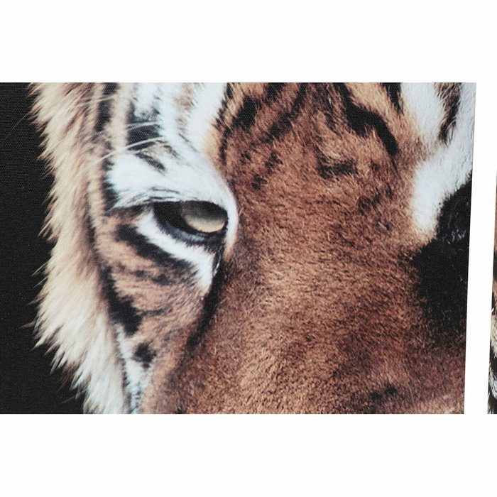 DKD Home Decor Toile Pin Tigre 150 x 2 x 80 cm - Lot de 5 pièces DKD Home Decor Toile Pin Tigre 150 x 2 x 80 cm - Lot de 5 pièces