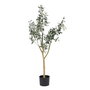 Plante décorative Polyester Polyéthylène Olivier 55 x 60 x 112 cm