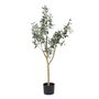 Plante décorative Polyester Polyéthylène Olivier 55 x 60 x 112 cm