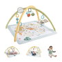 Fisher-Price Gimnasio Despierta Tus Sentidos JMN74