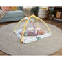 Fisher-Price Gimnasio Despierta Tus Sentidos JMN74