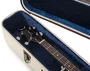 Gator Journeyman Deluxe Étui pour Banjo - Canvas