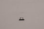 Lenovo Tray Nano SIM Noir pour ThinkPad T14 Gen 3 - FRU T14G3_NANO_SIM_TRAY_BK