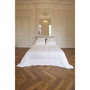 Toison D'Or Oreiller Epure Blanc 50 x 75 cm