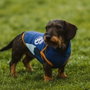 Cerdá Sweat à capuche en polaire Real Madrid pour chien, M, bleu