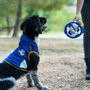 Cerdá Sweat à capuche en polaire Real Madrid pour chien, M, bleu